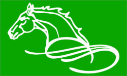 CF_Green Horse